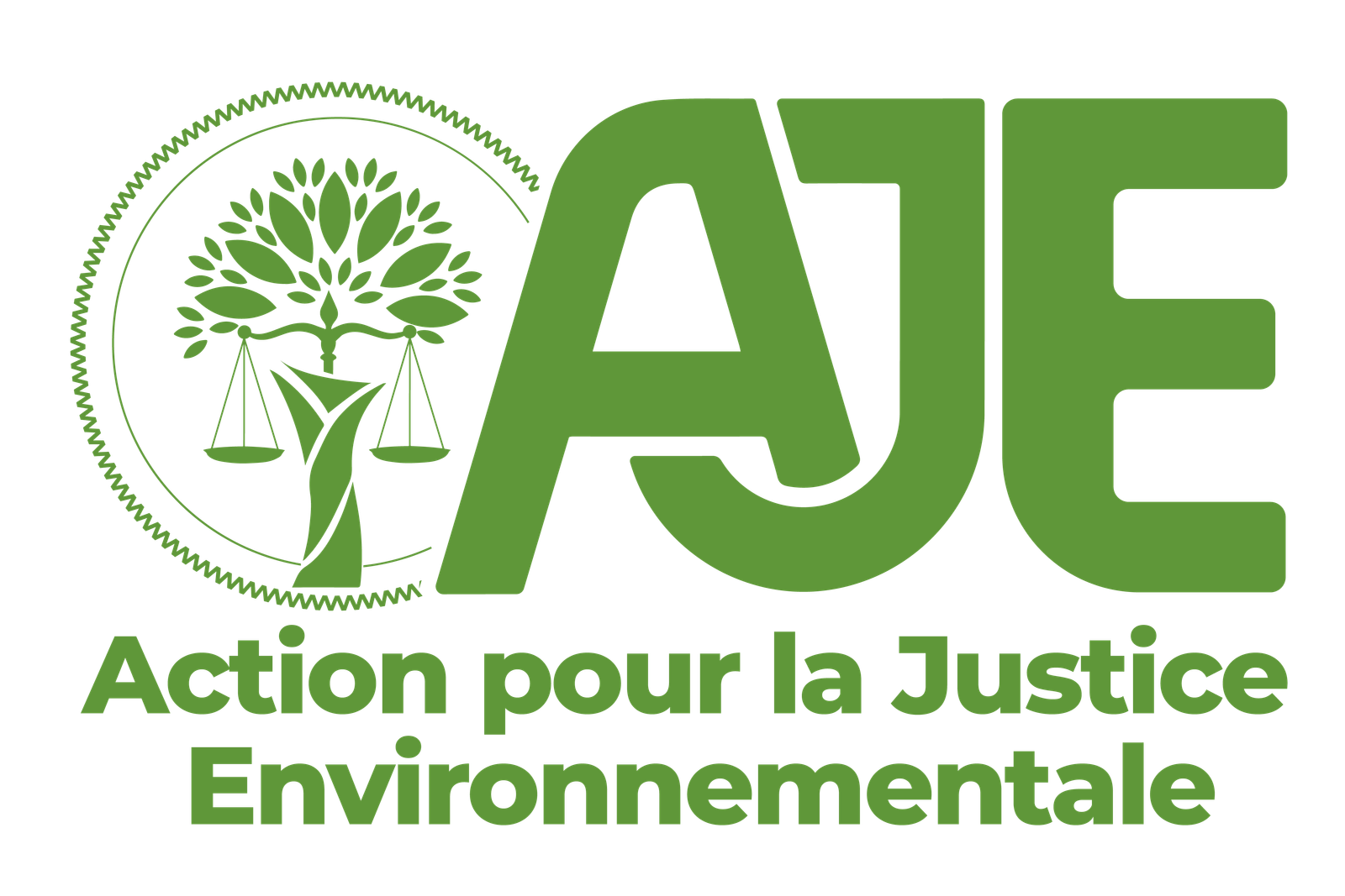 AJE INTERNATIONAL Logo